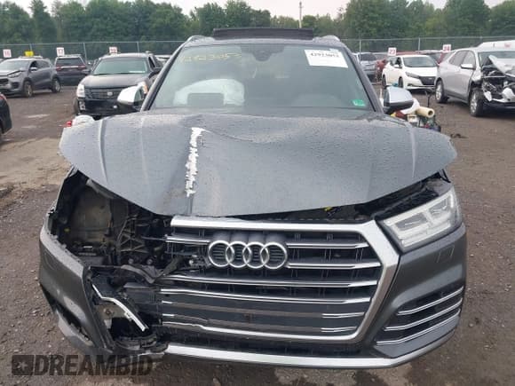 ✅ 2018 Audi SQ5 Premium Plus • VIN: WA1A4AFY4J2009442 • Lot: 42923053. Listed on IAAI with 164,414 mi. Free auction sales archive from the USA and detailed vehicle history report at DreamBid. Image 12.