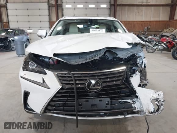 ✅ 2020 Lexus NX 300 • VIN: JTJGARDZ5L5002078 • Lot: 42604149. Listed on IAAI with 48,295 mi. Free auction sales archive from the USA and detailed vehicle history report at DreamBid. Image 13.