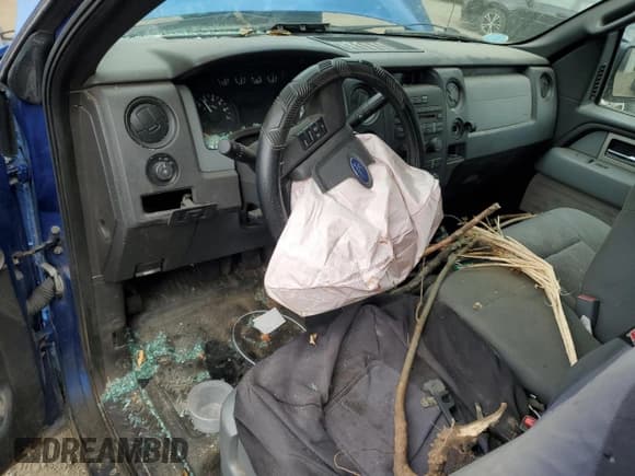 ✅ 2011 Ford F-150 XL • VIN: 1FTMF1EM0BFB36596 • Lot: 80665685. Listed on Copart with Not provided. Free auction sales archive from the USA and detailed vehicle history report at DreamBid. Image 8.