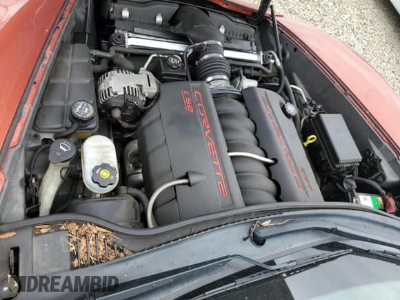 ✅ 2005 Chevrolet Corvette • VIN: 1G1YY24U755132485 • Lot: 81315535. Wystawiony na Copart z przebiegiem 112 188 mil. Bezpłatny archiwum sprzedaży aukcyjnych z USA i szczegółowy raport historii pojazdu na DreamBid. Zdjęcie 11.