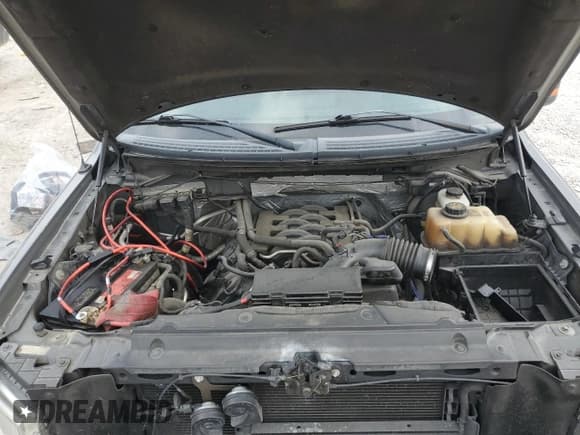 ✅ 2011 Ford F-150 XLT • VIN: 1FTFX1EF4BFA32362 • Lot: 91784845. Listed on Copart with 138,167 mi. Free auction sales archive from the USA and detailed vehicle history report at DreamBid. Image 11.