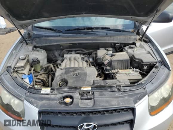 2009 Hyundai Santa Fe GLS z VIN 5NMSG13D99H256496, wystawiony jako Copart lot #70585925 z przebiegiem 170 951 mil mil oraz Nie do naprawy • Non repairable. Historia ofert i sprzedaży dostępna na DreamBid. Obrazek 12.