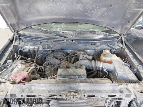 ✅ 2014 Ford F-150 XL • VIN: 1FTEX1EM8EFB13718 • Lot: 43218145. Wystawiony na IAAI z przebiegiem 46 989 mil. Bezpłatny archiwum sprzedaży aukcyjnych z USA i szczegółowy raport historii pojazdu na DreamBid. Zdjęcie 10.