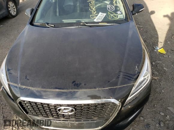 ✅ 2016 Hyundai Sonata SE • VIN: KMHE24L13GA026586 • Lot: 41181063. Listed on Copart with Not provided. Free auction sales archive from the USA and detailed vehicle history report at DreamBid. Image 11.