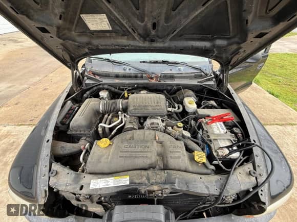 2004 Dodge Dakota with VIN 1D7GL12K94S552459, listed as a Copart auction lot 52153335 with 128,148 mi miles and Clean title. Bid and sale history available at DreamBid. Image 7.