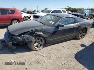 ✅ 2014 Ford Mustang V6 • VIN: 1ZVBP8AM0E5274262 • Лот: 82418225. Опубликован ранее на Copart с пробегом 159 355 миль. Бесплатный доступ к архиву аукционных продаж из США и подробный отчёт об истории автомобиля на DreamBid. Изображение 1.