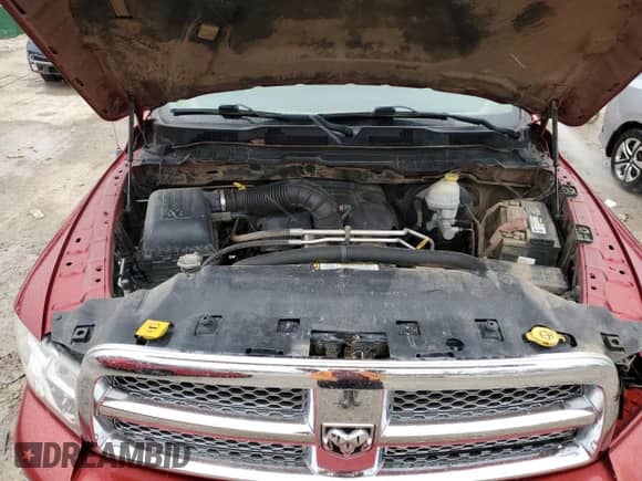 2009 Dodge 1500 SLT с VIN 1D3HV13T19S717418, выставлен на аукционе Copart как лот 81324694 с пробегом 185 935 миль миль и Чистый • Clean title. История ставок и продаж доступна на DreamBid. Изображение 11.