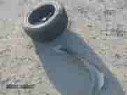 2006 Chevrolet Silverado 1500 LT1 with VIN 2GCEK13T861144372, listed as a IAAI auction lot 41564008 with 295,445 mi miles and . Bid and sale history available at DreamBid. Image 12.