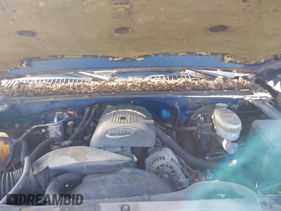 ✅ 2004 Chevrolet Silverado 1500 Z71 • VIN: 2GCEK13T441413366 • Lot: 43364710. Wystawiony na IAAI z przebiegiem Nie podano. Bezpłatny archiwum sprzedaży aukcyjnych z USA i szczegółowy raport historii pojazdu na DreamBid. Zdjęcie 10.