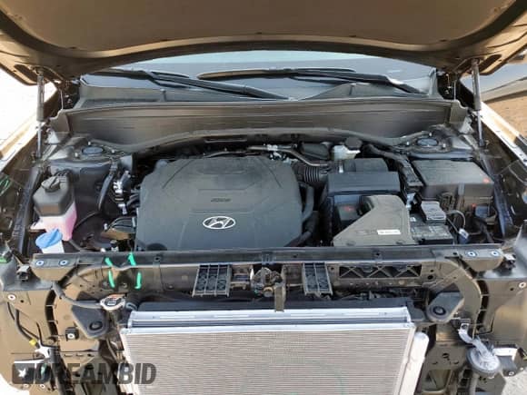 2025 Hyundai Palisade SEL with VIN KM8R24GEXSU888225, listed as a Copart auction lot 70220275 with 1,918 mi miles and Salvage title. Bid and sale history available at DreamBid. Image 12.