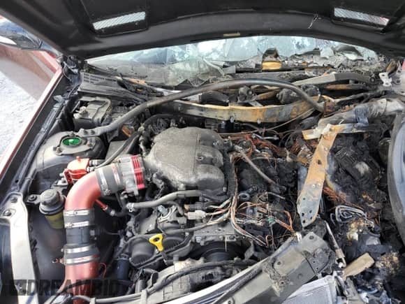 ✅ 2016 Hyundai Genesis Coupe Ultimate • VIN: KMHHU6KJ4GU132855 • Лот: 82680515. Опубликован ранее на Copart с пробегом Не указан. Бесплатный доступ к архиву аукционных продаж из США и подробный отчёт об истории автомобиля на DreamBid. Изображение 11.