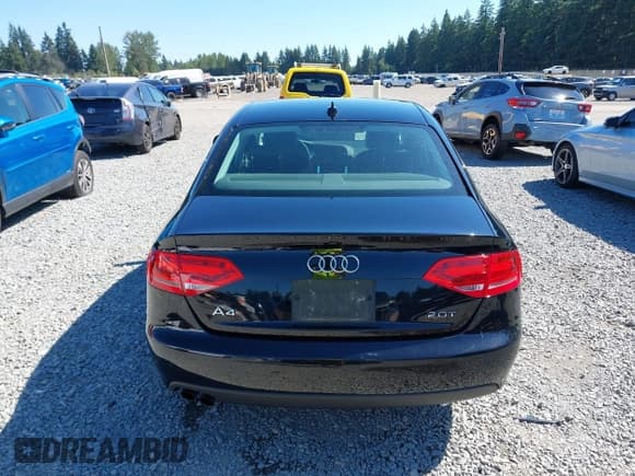 ✅ 2010 Audi A4 Premium • VIN: WAUAFAFLXAN006982 • Lot: 42620180. Wystawiony na IAAI z przebiegiem 140 171 mil. Bezpłatny archiwum sprzedaży aukcyjnych z USA i szczegółowy raport historii pojazdu na DreamBid. Zdjęcie 16.