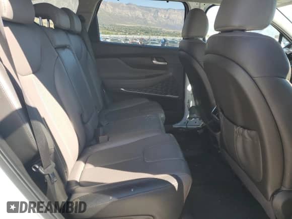 2020 Hyundai Santa Fe SEL z VIN 5NMS3CAD5LH303105, wystawiony jako Copart lot #85740335 z przebiegiem 83 187 mil mil oraz Szkoda całkowita • Salvage title. Historia ofert i sprzedaży dostępna na DreamBid. Obrazek 11.