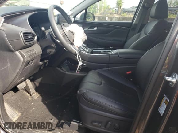 ✅ 2023 Hyundai Santa Fe SEL Premium • VIN: 5NMS3DA11PH022808 • Lot: 55766214. Wystawiony na Copart z przebiegiem 4 398 mil. Bezpłatny archiwum sprzedaży aukcyjnych z USA i szczegółowy raport historii pojazdu na DreamBid. Zdjęcie 7.