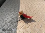 ✅ 1995 Toyota T100 • VIN: JT4UD10D4S0008023 • Лот: 30976829. Опубликован ранее на IAAI с пробегом 326 353 миль. Бесплатный доступ к архиву аукционных продаж из США и подробный отчёт об истории автомобиля на DreamBid. Изображение 11.