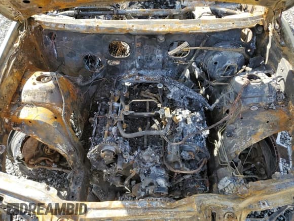 ✅ 2001 BMW X5 4.4i • VIN: WBAFB33521LH26696 • Lot: 66432125. Listed on Copart with Not provided. Free auction sales archive from the USA and detailed vehicle history report at DreamBid. Image 12.