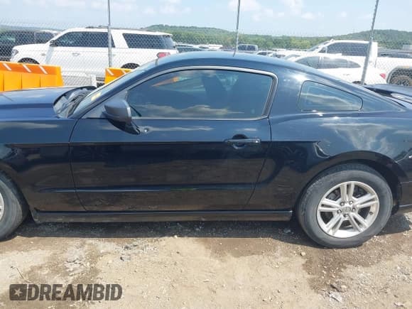 ✅ 2013 Ford Mustang V6 • VIN: 1ZVBP8AM9D5269415 • Lot: 42904297. Wystawiony na IAAI z przebiegiem 229 515 mil. Bezpłatny archiwum sprzedaży aukcyjnych z USA i szczegółowy raport historii pojazdu na DreamBid. Zdjęcie 15.