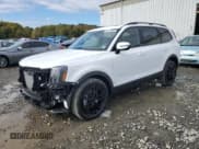 ✅ 2025 Kia Telluride EX X-Pro • VIN: 5XYP3DGC3SG695987 • Lot: 86116865. Listed on Copart with 93 mi. Free auction sales archive from the USA and detailed vehicle history report at DreamBid. Image 1.