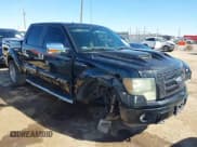✅ 2011 Ford F-150 XLT • VIN: 1FTFW1EF6BFB17982 • Лот: 43459331. Опубликован ранее на IAAI с пробегом 215 585 миль. Бесплатный доступ к архиву аукционных продаж из США и подробный отчёт об истории автомобиля на DreamBid. Изображение 1.