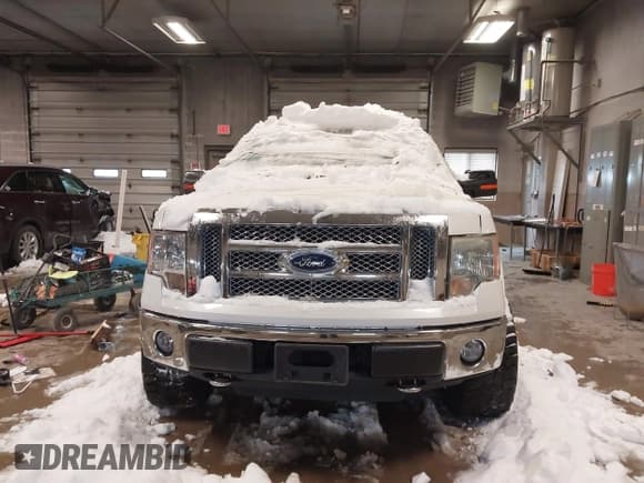 ✅ 2010 Ford F-150 XL • VIN: 1FTFW1EV8AFC31990 • Lot: 43831140. Listed on IAAI with 140,513 mi. Free auction sales archive from the USA and detailed vehicle history report at DreamBid. Image 12.