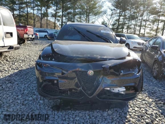 ✅ 2019 Alfa Romeo Stelvio Ti Lusso • VIN: ZASPAKBN4K7C58801 • Лот: 71768182. Опубликован ранее на Copart с пробегом Не указан. Бесплатный доступ к архиву аукционных продаж из США и подробный отчёт об истории автомобиля на DreamBid. Изображение 12.