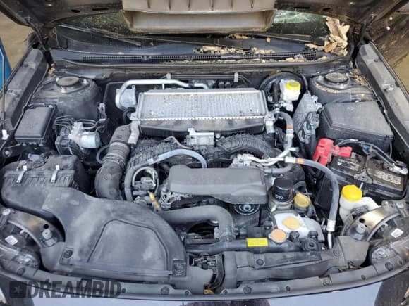 ✅ 2022 Subaru Outback Wilderness • VIN: 4S4BTGUD5N3280800 • Лот: 52160965. Опубликован ранее на Copart с пробегом Не указан. Бесплатный доступ к архиву аукционных продаж из США и подробный отчёт об истории автомобиля на DreamBid. Изображение 12.