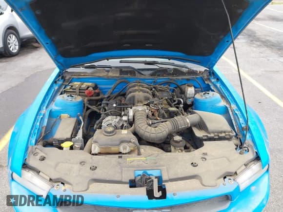 ✅ 2010 Ford Mustang V6 • VIN: 1ZVBP8EN8A5179686 • Lot: 42369977. Listed on IAAI with 112,065 mi. Free auction sales archive from the USA and detailed vehicle history report at DreamBid. Image 10.