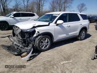 ✅ 2020 Hyundai Palisade SE • VIN: KM8R14HEXLU051493 • Лот: 48332785. Опубликован ранее на Copart с пробегом 124 451 миль. Бесплатный доступ к архиву аукционных продаж из США и подробный отчёт об истории автомобиля на DreamBid. Изображение 1.