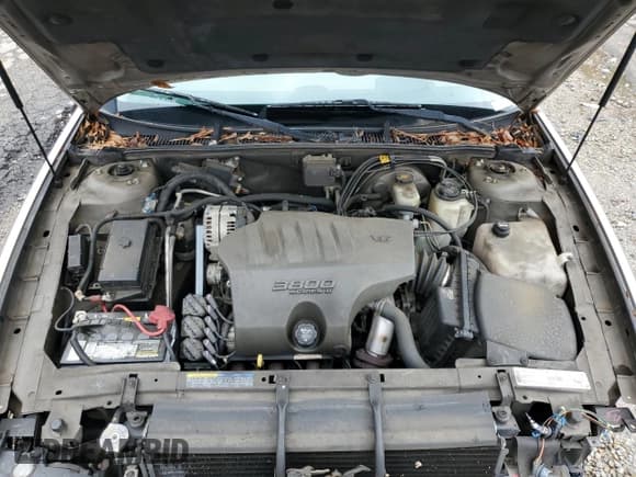 ✅ 2003 Buick Park Avenue • VIN: 1G4CW54K734131472 • Lot: 73484654. Listed on Copart with 204,163 mi. Free auction sales archive from the USA and detailed vehicle history report at DreamBid. Image 11.