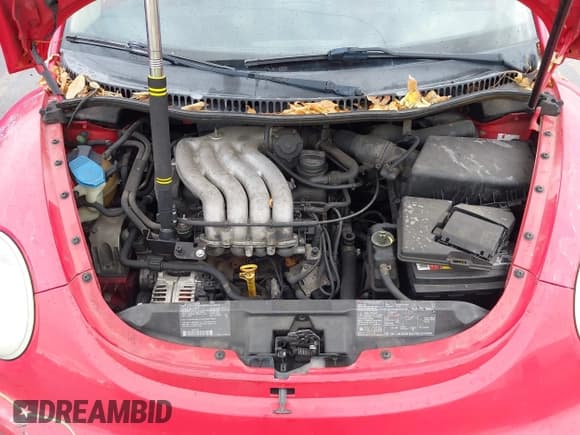 ✅ 2001 Volkswagen Beetle GLS • VIN: 3VWCS21C71M408423 • Lot: 43704342. Listed on IAAI with 187,591 mi. Free auction sales archive from the USA and detailed vehicle history report at DreamBid. Image 10.