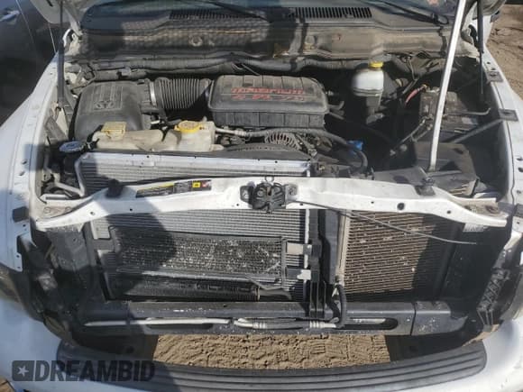 ✅ 2005 Dodge 1500 SLT • VIN: 1D7HU18N65S217227 • Лот: 73221654. Опубликован ранее на Copart с пробегом 184 348 миль. Бесплатный доступ к архиву аукционных продаж из США и подробный отчёт об истории автомобиля на DreamBid. Изображение 11.