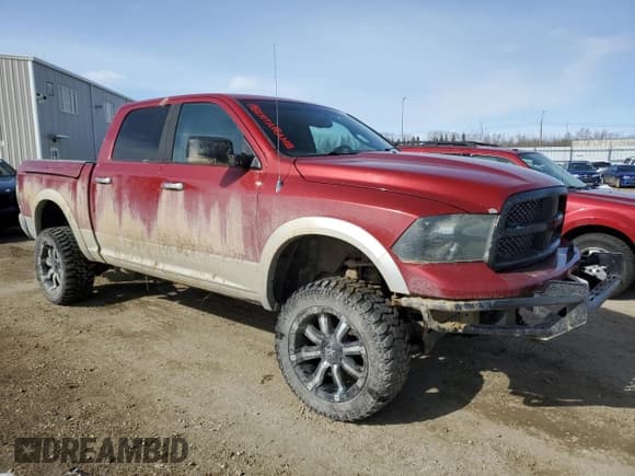 ✅ 2010 Dodge 1500 SLT • VIN: 1D7RV1CT8AS167027 • Lot: 50987265. Wystawiony na Copart z przebiegiem 387 740 mil. Bezpłatny archiwum sprzedaży aukcyjnych z USA i szczegółowy raport historii pojazdu na DreamBid. Zdjęcie 4.
