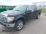 ✅ 2009 Ford F-150 XL • VIN: 1FTPW14V89FA39177 • Lot: 43050528. Listed on IAAI with 244,162 mi. Free auction sales archive from the USA and detailed vehicle history report at DreamBid. Image 17.
