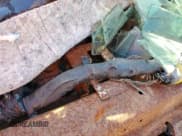 ✅ 2017 Subaru BRZ Limited • VIN: JF1ZCAC17H9600598 • Lot: 85770454. Wystawiony na Copart z przebiegiem Nie podano. Bezpłatny archiwum sprzedaży aukcyjnych z USA i szczegółowy raport historii pojazdu na DreamBid. Zdjęcie 9.