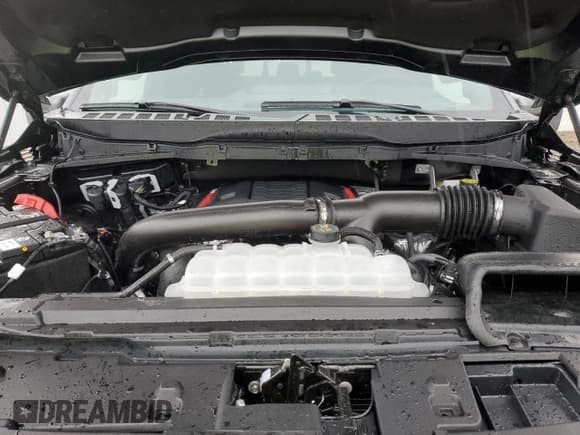 ✅ 2025 Ford F-150 Raptor • VIN: 1FTFW1RG1SFA59539 • Лот: 91036815. Опубликован ранее на Copart с пробегом 22 миль. Бесплатный доступ к архиву аукционных продаж из США и подробный отчёт об истории автомобиля на DreamBid. Изображение 11.