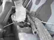 2019 Hyundai Veloster 2.0 z VIN KMHTG6AF2KU018425, wystawiony jako IAAI lot #41649027 z przebiegiem 67 155 mil mil oraz . Historia ofert i sprzedaży dostępna na DreamBid. Obrazek 8.