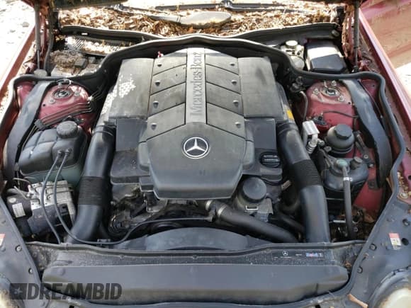 ✅ 2003 Mercedes-Benz SL 500 • VIN: WDBSK75F33F055454 • Lot: 55290825. Listed on Copart with Not provided. Free auction sales archive from the USA and detailed vehicle history report at DreamBid. Image 11.