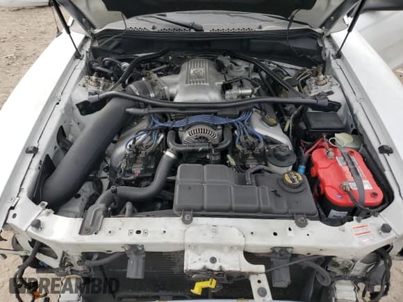 ✅ 1996 Ford Mustang Cobra • VIN: 1FALP47V4TF125883 • Лот: 86488405. Опубликован ранее на Copart с пробегом 73 595 миль. Бесплатный доступ к архиву аукционных продаж из США и подробный отчёт об истории автомобиля на DreamBid. Изображение 11.