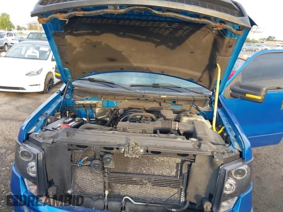 ✅ 2009 Ford F-150 STX • VIN: 1FTRX14809FA05539 • Lot: 43324601. Listed on IAAI with 185,988 mi. Free auction sales archive from the USA and detailed vehicle history report at DreamBid. Image 10.