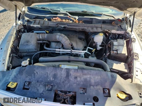 ✅ 2009 Dodge 1500 SLT • VIN: 1D3HV18T89S808386 • Лот: 84799455. Опубликован ранее на Copart с пробегом 160 208 миль. Бесплатный доступ к архиву аукционных продаж из США и подробный отчёт об истории автомобиля на DreamBid. Изображение 11.