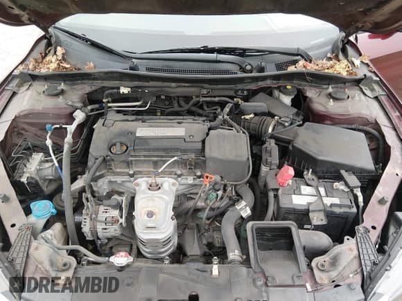 ✅ 2014 Honda Accord LX • VIN: 1HGCR2F37EA086703 • Lot: 43729083. Wystawiony na IAAI z przebiegiem 117 573 mil. Bezpłatny archiwum sprzedaży aukcyjnych z USA i szczegółowy raport historii pojazdu na DreamBid. Zdjęcie 10.