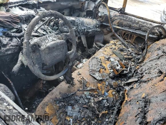 ✅ 1994 Ford F-150 • VIN: 1FTEF14N9RLA81351 • Lot: 55441735. Wystawiony na Copart z przebiegiem Nie podano. Bezpłatny archiwum sprzedaży aukcyjnych z USA i szczegółowy raport historii pojazdu na DreamBid. Zdjęcie 8.