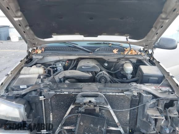 ✅ 2005 Chevrolet Silverado 1500 Work Truck • VIN: 1GCEC14V65Z336473 • Lot: 43441053. Listed on IAAI with 153,302 mi. Free auction sales archive from the USA and detailed vehicle history report at DreamBid. Image 10.