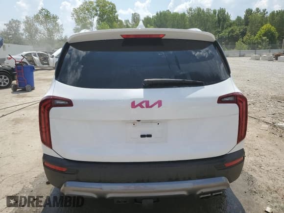 ✅ 2022 Kia Telluride SX • VIN: 5XYP54HC1NG302615 • Lot: 67863665. Wystawiony na Copart z przebiegiem 103 471 mil. Bezpłatny archiwum sprzedaży aukcyjnych z USA i szczegółowy raport historii pojazdu na DreamBid. Zdjęcie 6.
