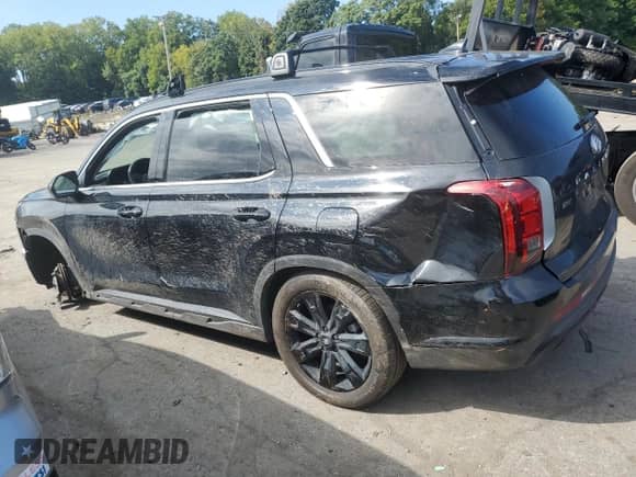 2024 Hyundai Palisade XRT with VIN KM8R3DGE9RU712824, listed as a Copart auction lot 69469294 with Not provided miles and Salvage title. Bid and sale history available at DreamBid. Image 2.