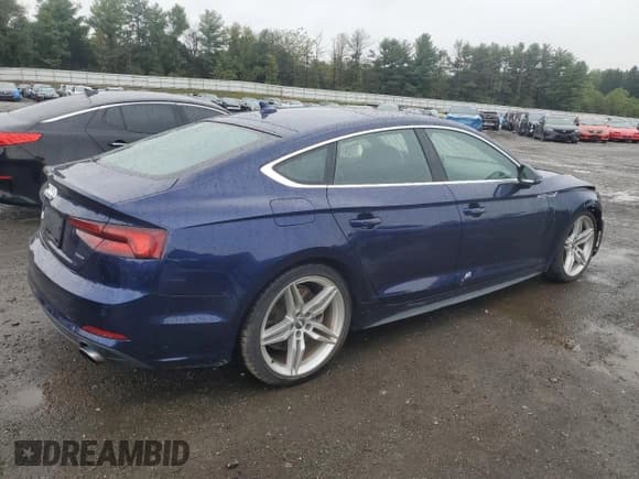 ✅ 2019 Audi A5 Sportback Premium Plus • VIN: WAUENCF58KA023693 • Lot: 80565955. Wystawiony na Copart z przebiegiem 56 730 mil. Bezpłatny archiwum sprzedaży aukcyjnych z USA i szczegółowy raport historii pojazdu na DreamBid. Zdjęcie 3.