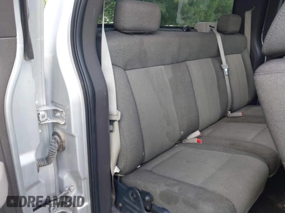 ✅ 2009 Ford F-150 STX • VIN: 1FTRX12W59FB48648 • Lot: 42585400. Listed on IAAI with 194,483 mi. Free auction sales archive from the USA and detailed vehicle history report at DreamBid. Image 8.