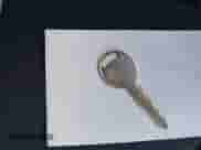 ✅ 2000 Dodge Dakota Sport • VIN: 1B7GL2AN6YS671636 • Лот: 43508621. Размещён на IAAI с пробегом 243 999 миль миль. Получите бесплатный доступ к архиву аукционных продаж из США и посмотрите подробный отчёт об истории автомобиля на DreamBid. Изображение 11.