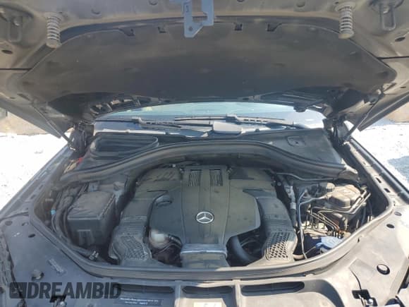 ✅ 2017 Mercedes-Benz GLS 450 • VIN: 4JGDF6EE1HA844265 • Lot: 81254975. Listed on Copart with 154,061 mi. Free auction sales archive from the USA and detailed vehicle history report at DreamBid. Image 12.