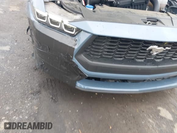 ✅ 2024 Ford Mustang EcoBoost Premium • VIN: 1FA6P8TH5R5147149 • Lot: 43300846. Listed on IAAI with 17,425 mi. Free auction sales archive from the USA and detailed vehicle history report at DreamBid. Image 6.